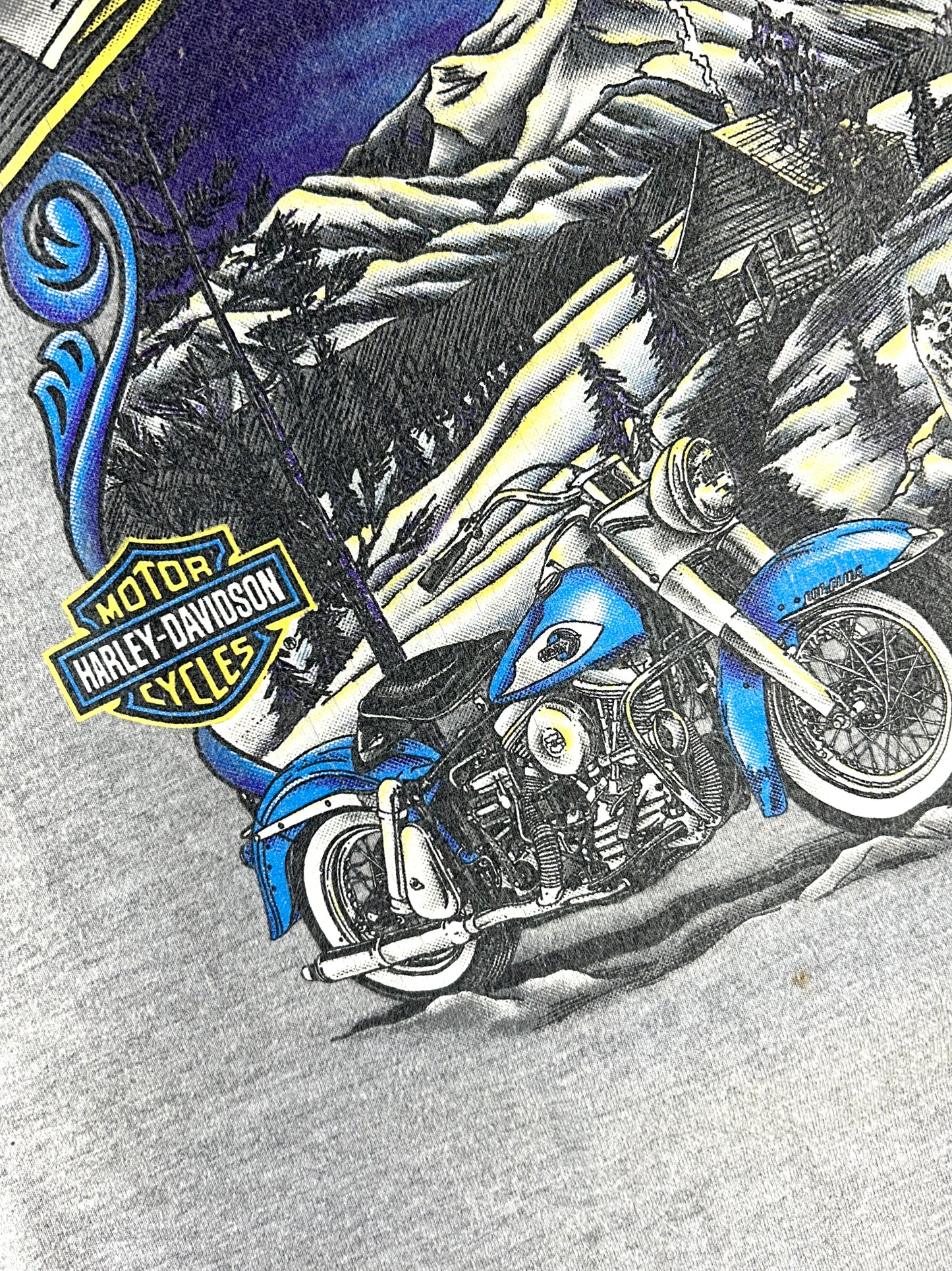Vintage Harley Davidson T-Shirt Alaska USA Made