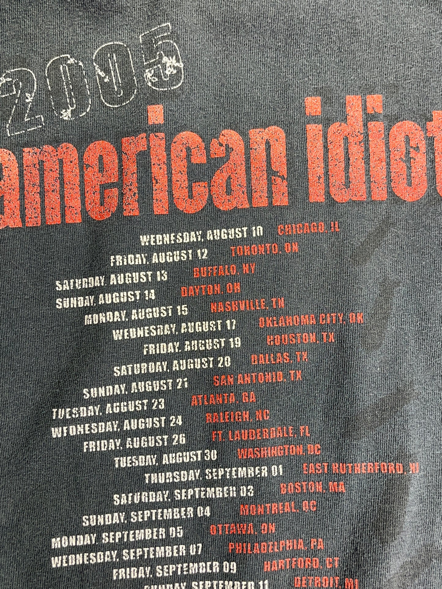 Vintage Green Day T-Shirt Band Tour Tee American Idiot