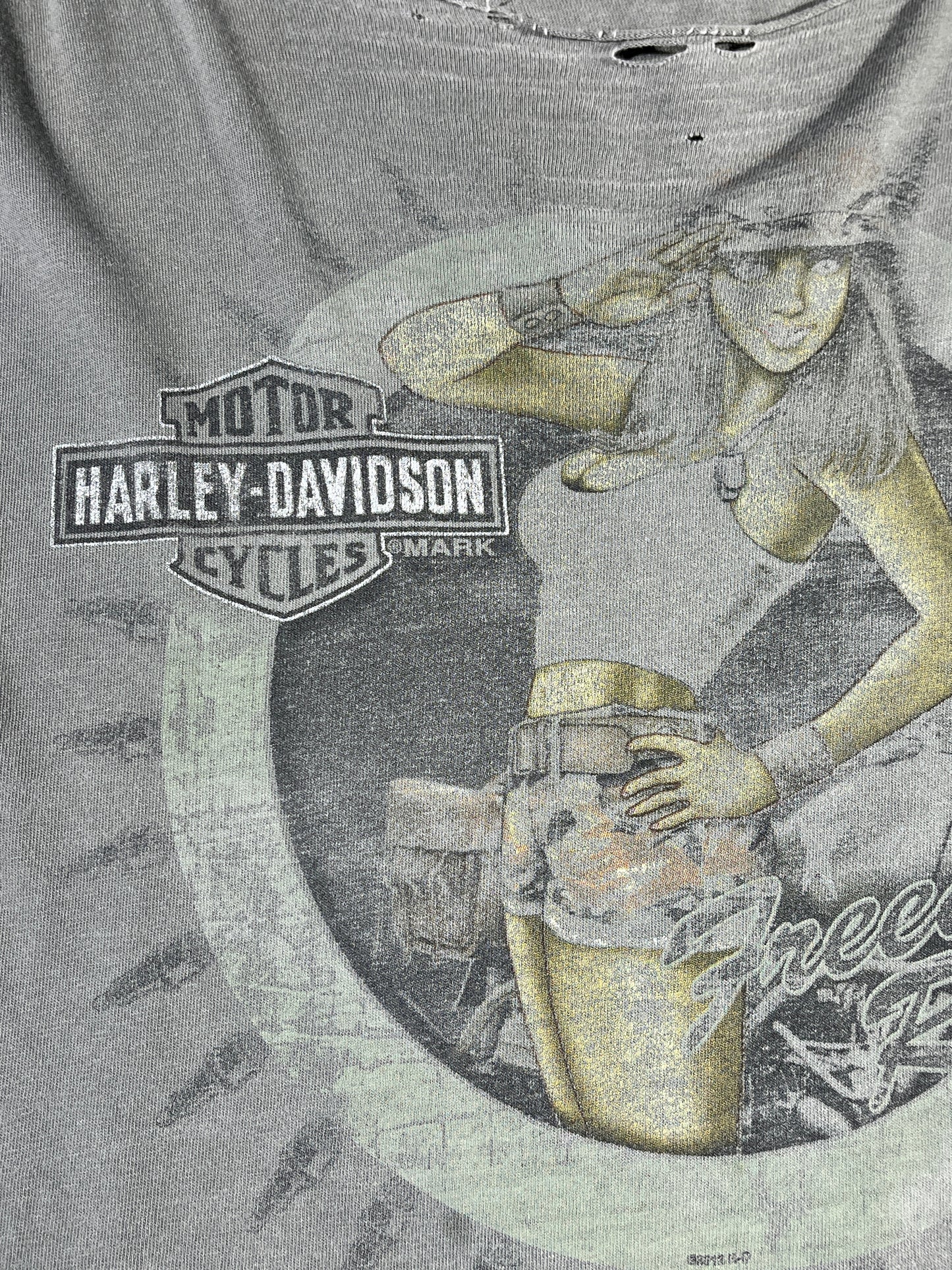 Vintage Harley Davidson T-Shirt Praire Regina Freedom Rider Distressed