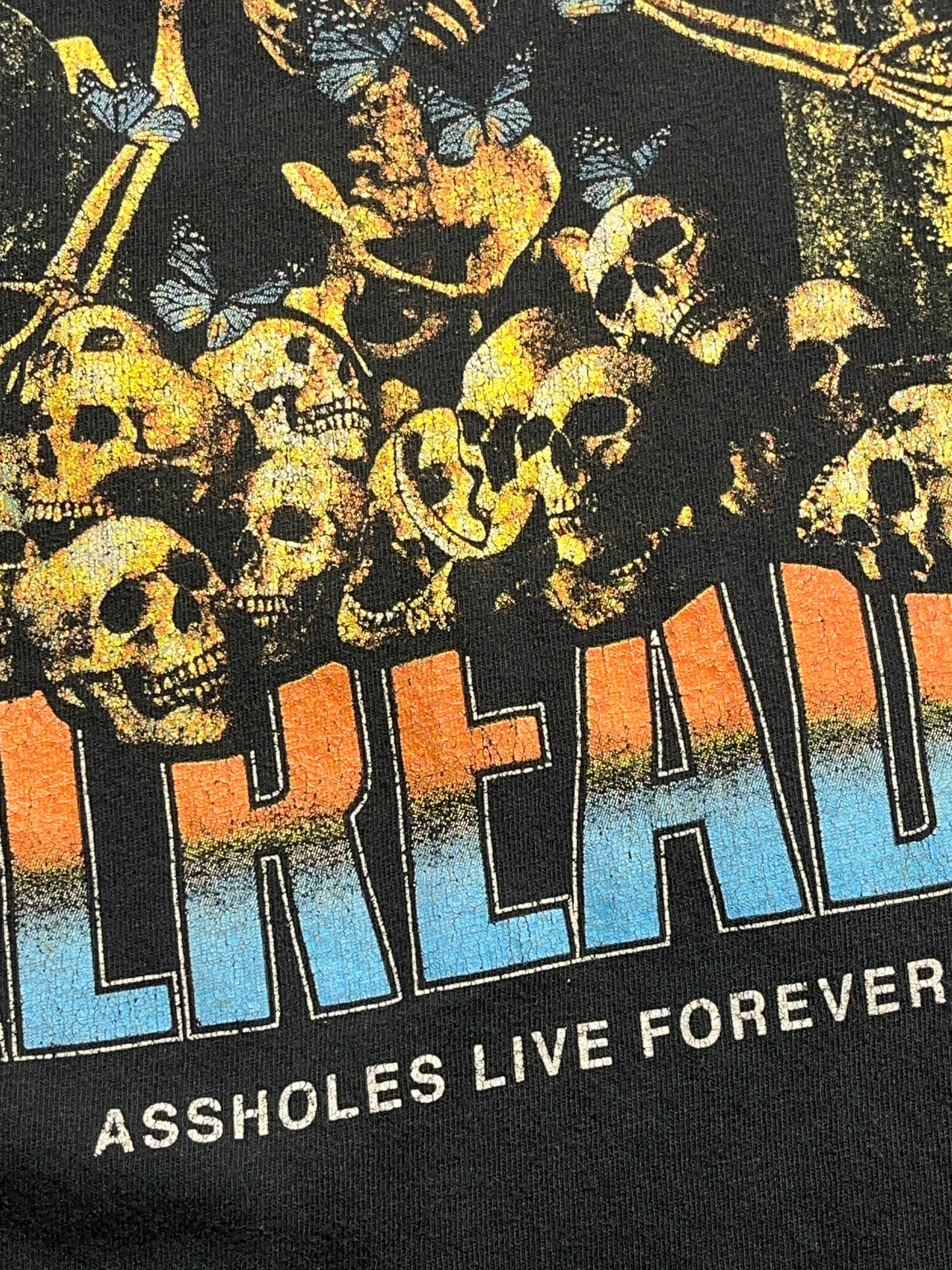 Vintage Kill Me Already T-Shirt Assholes Live Forever Distressed