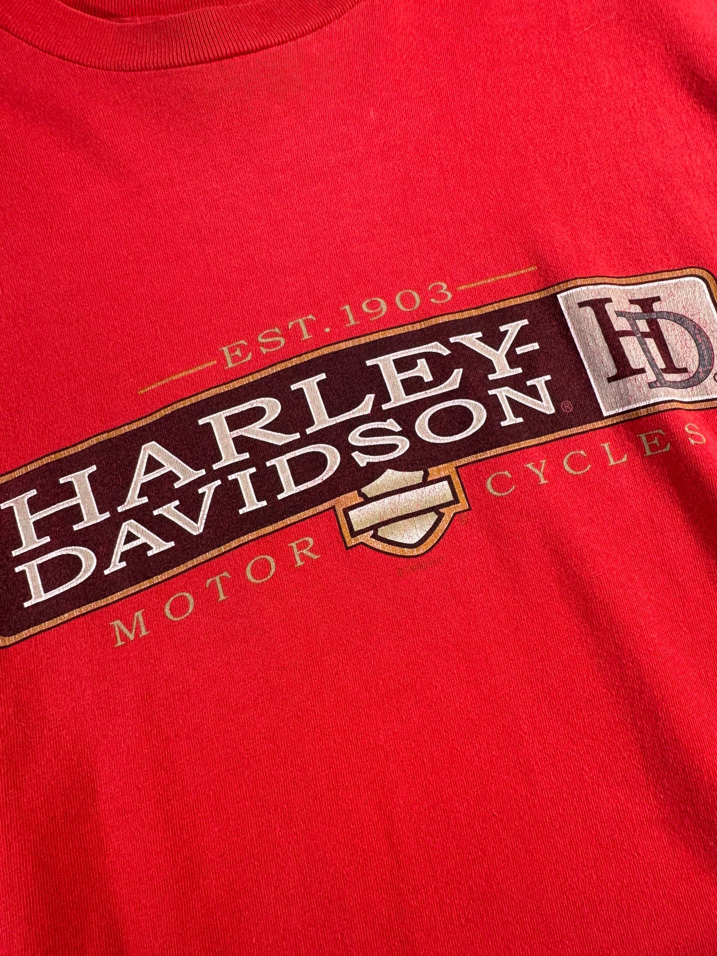 Vintage Harley Davidson T-Shirt Anaheim Biker HD