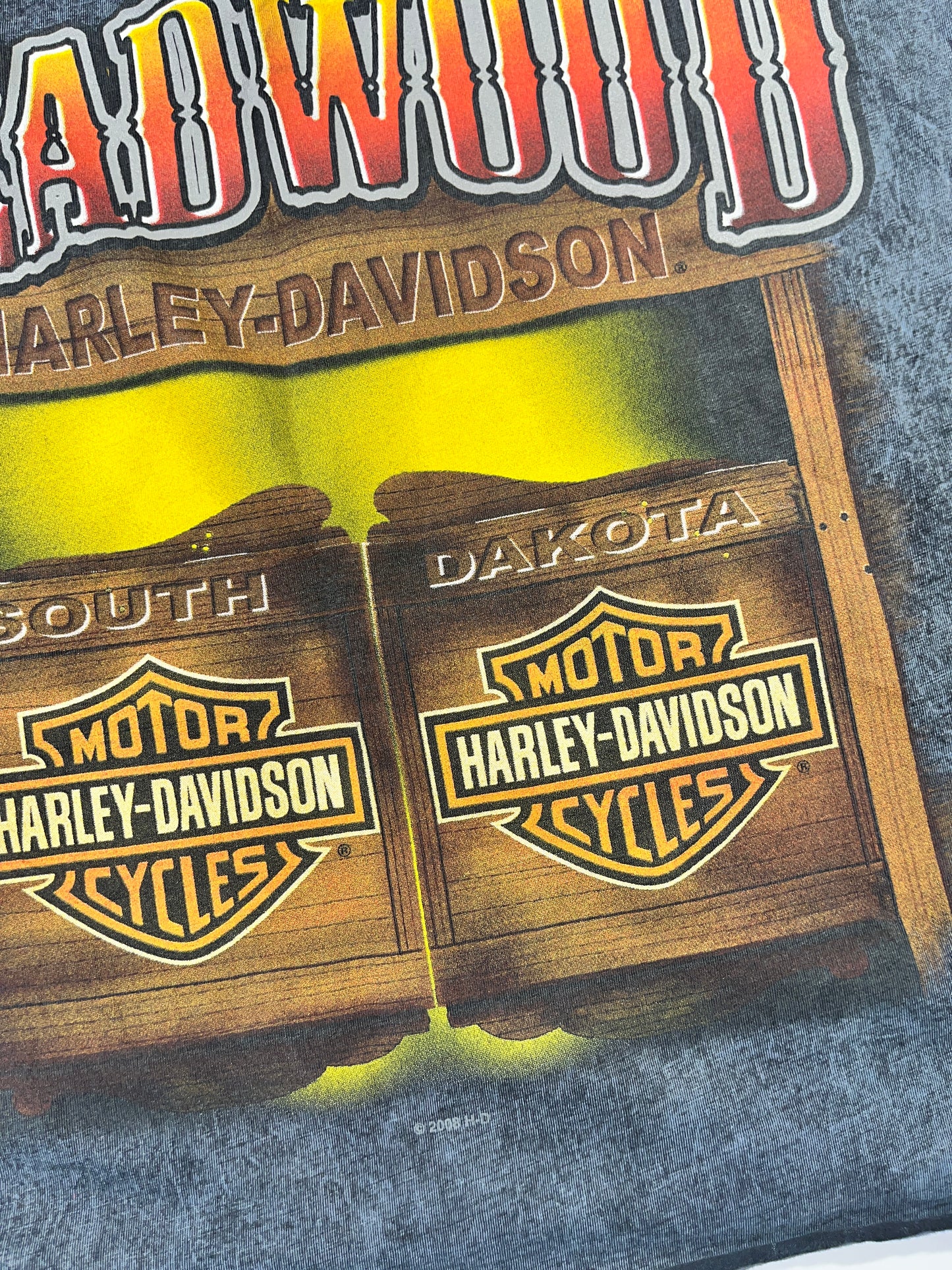 Vintage Harley Davidson T-Shirt Cropped Badlands Deadwood