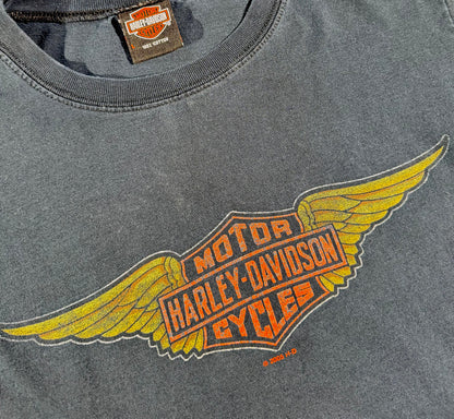 Vintage Harley Davidson T-Shirt Motorcycles Big Twin Aruba