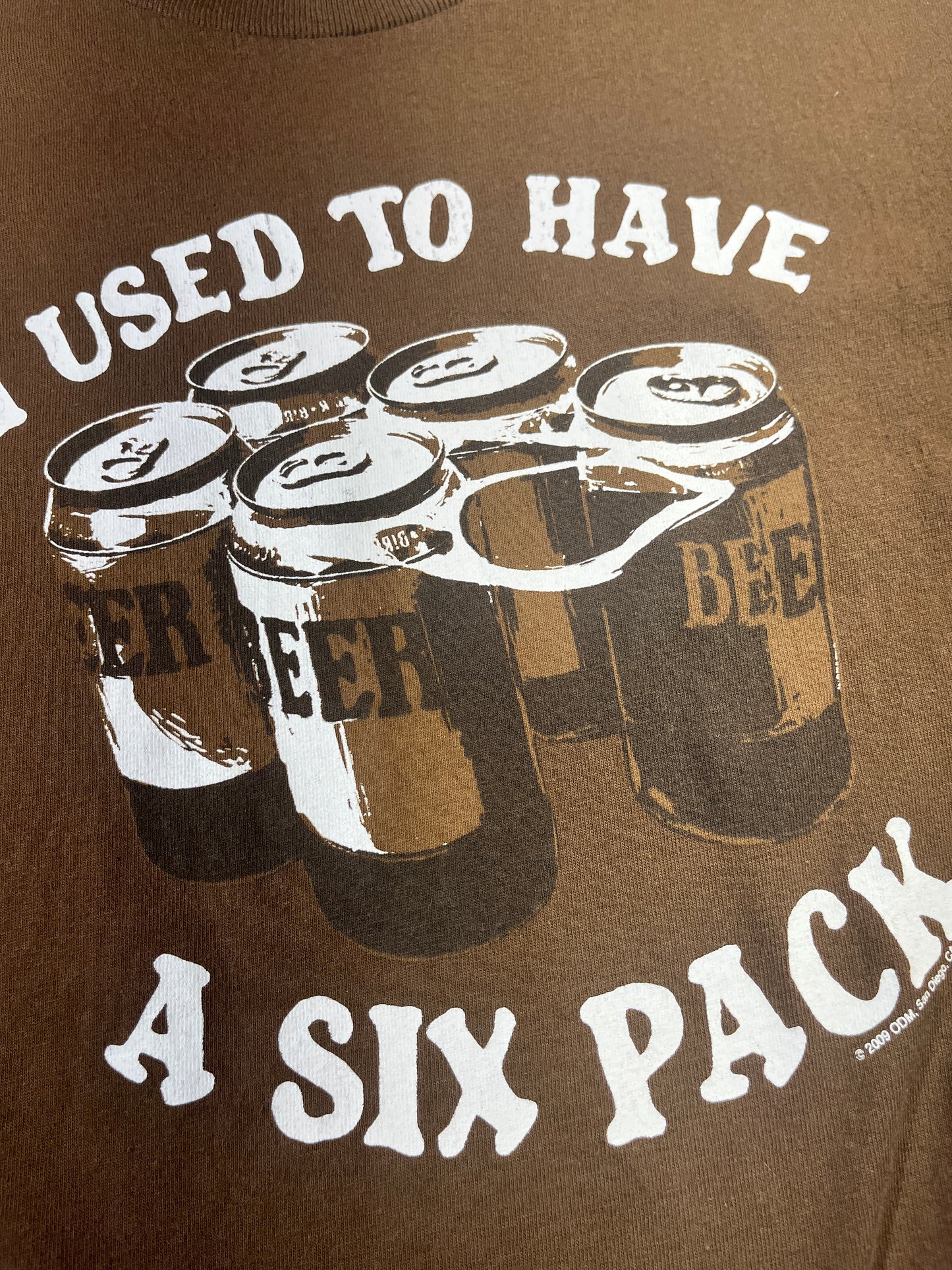 Vintage I Used To Have A Six Pack T-Shirt Check The Fridge Funny Slogan