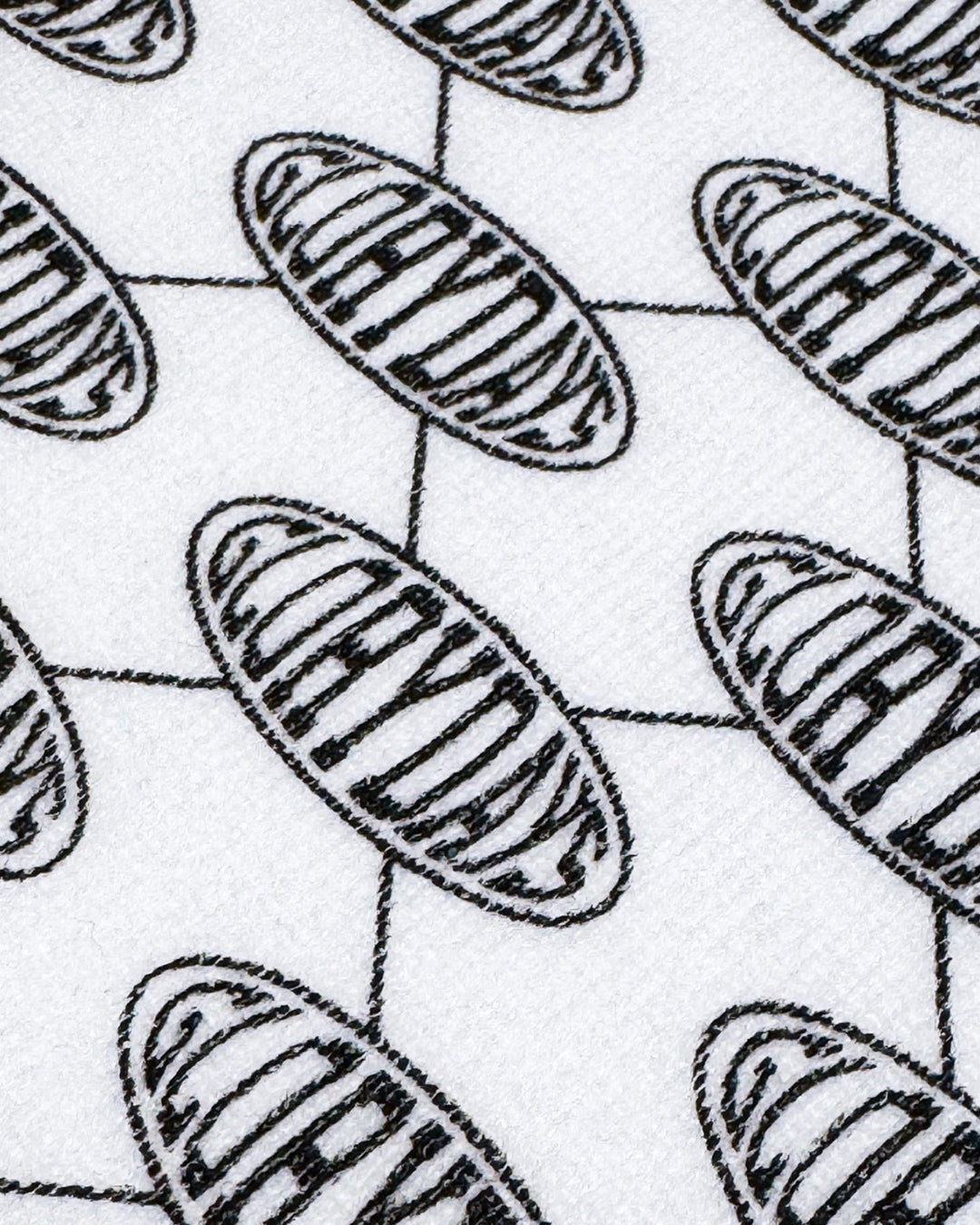 Fence Skull Cap Beanie