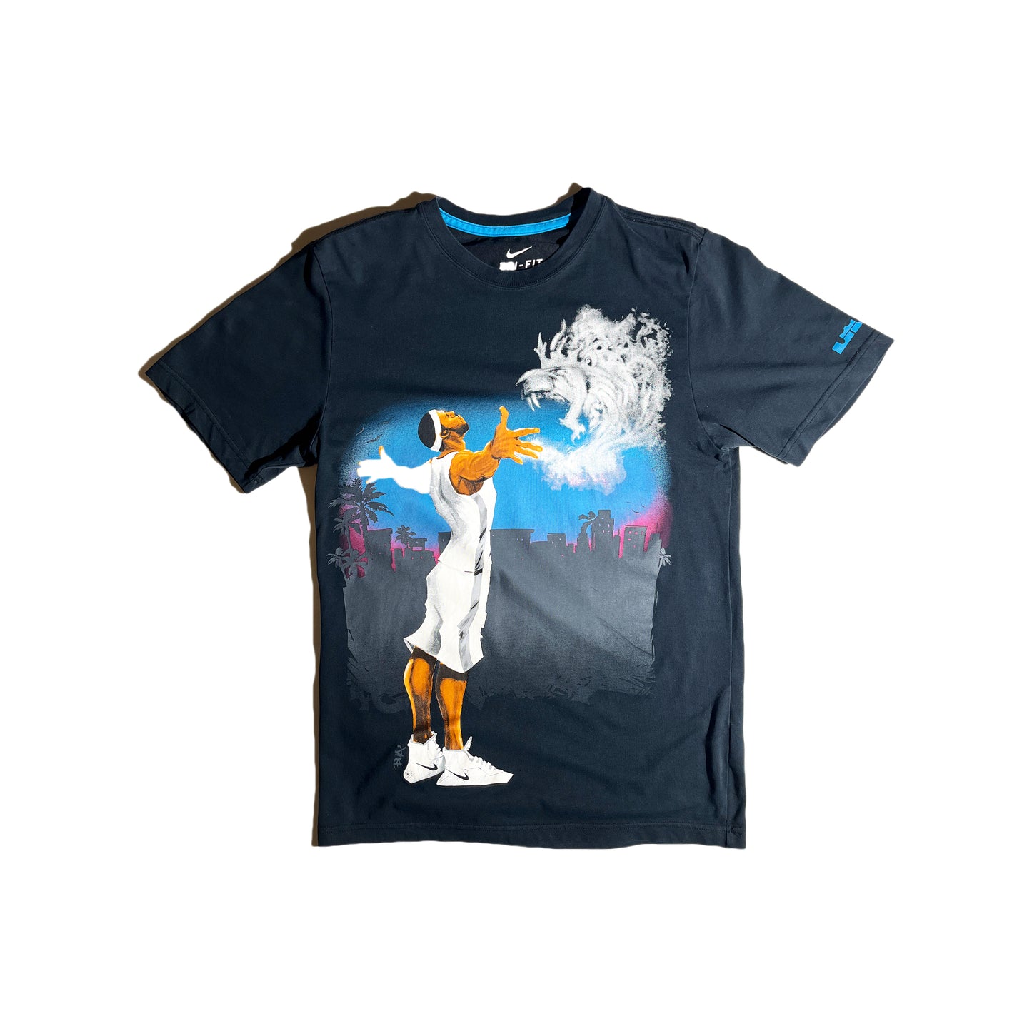 Vintage Nike Lebron T-Shirt Dri-Fit