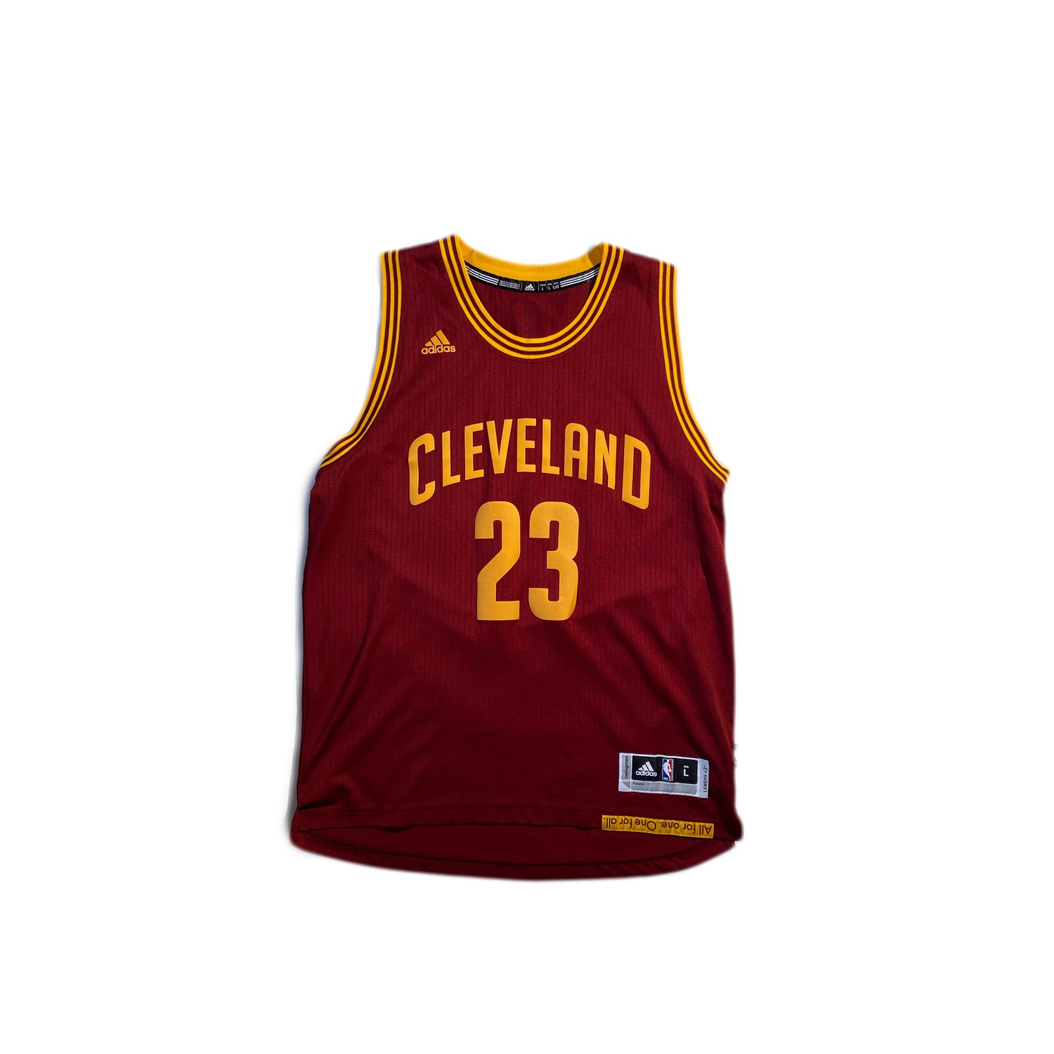 Vintage 2024 lebron jersey