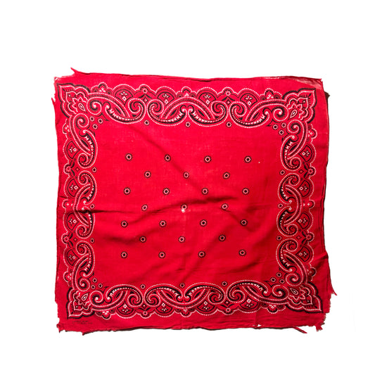 Vintage Red Bandana Fast Color