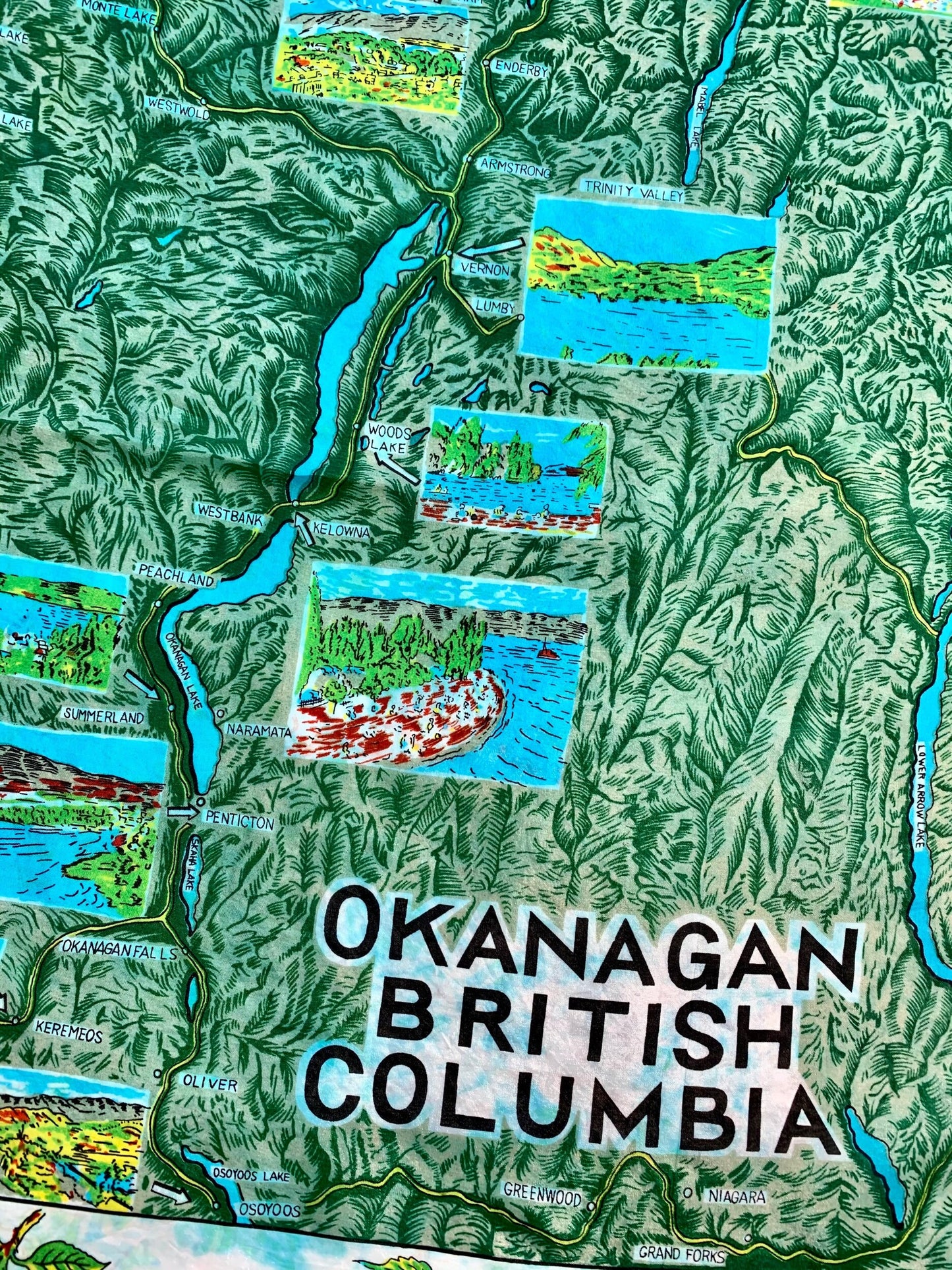 Vintage Okanagan BC Scarf 🍑