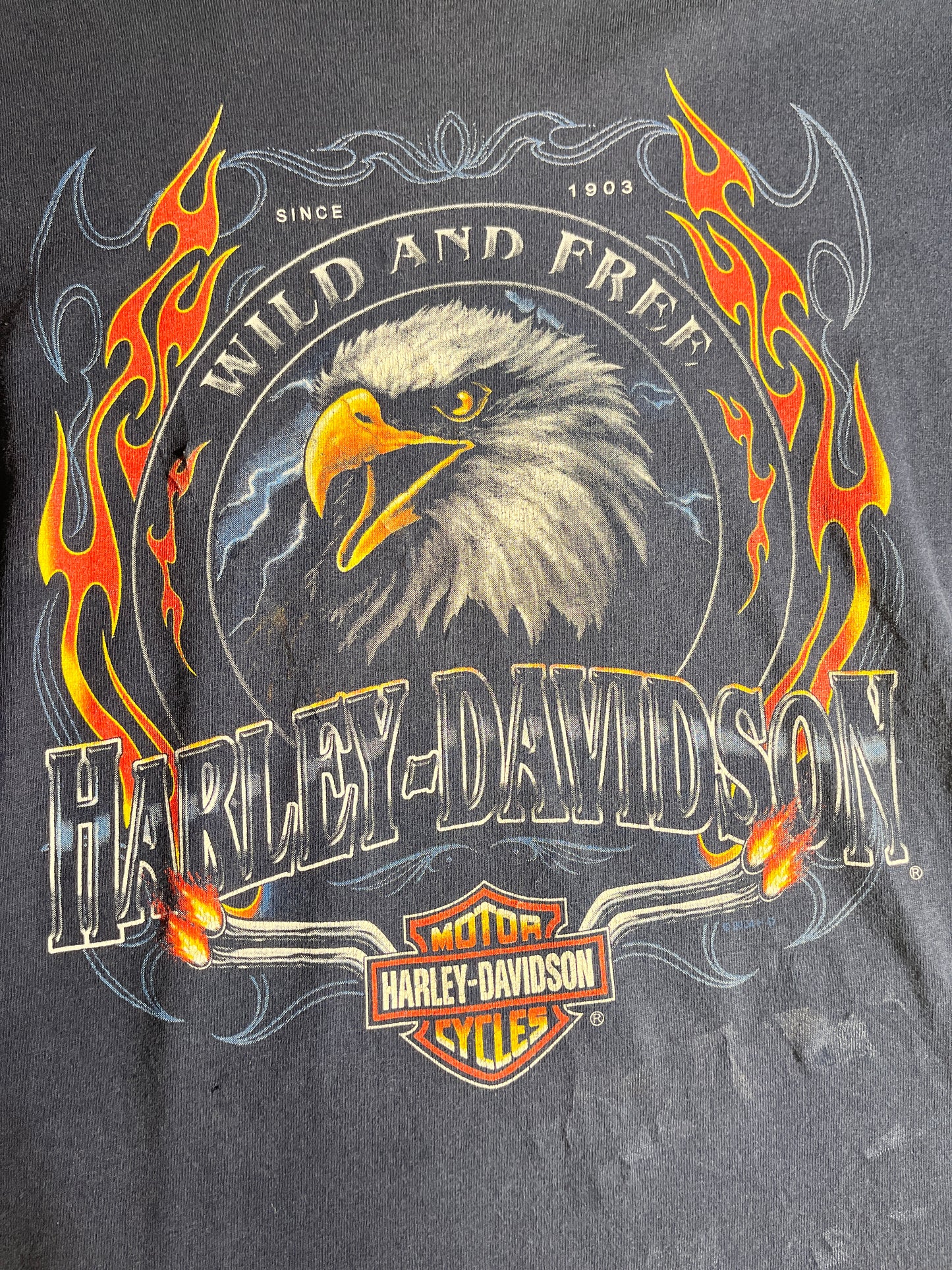 Vintage Harley Davidson T-Shirt Ottawa Wild and Free Animal Tee
