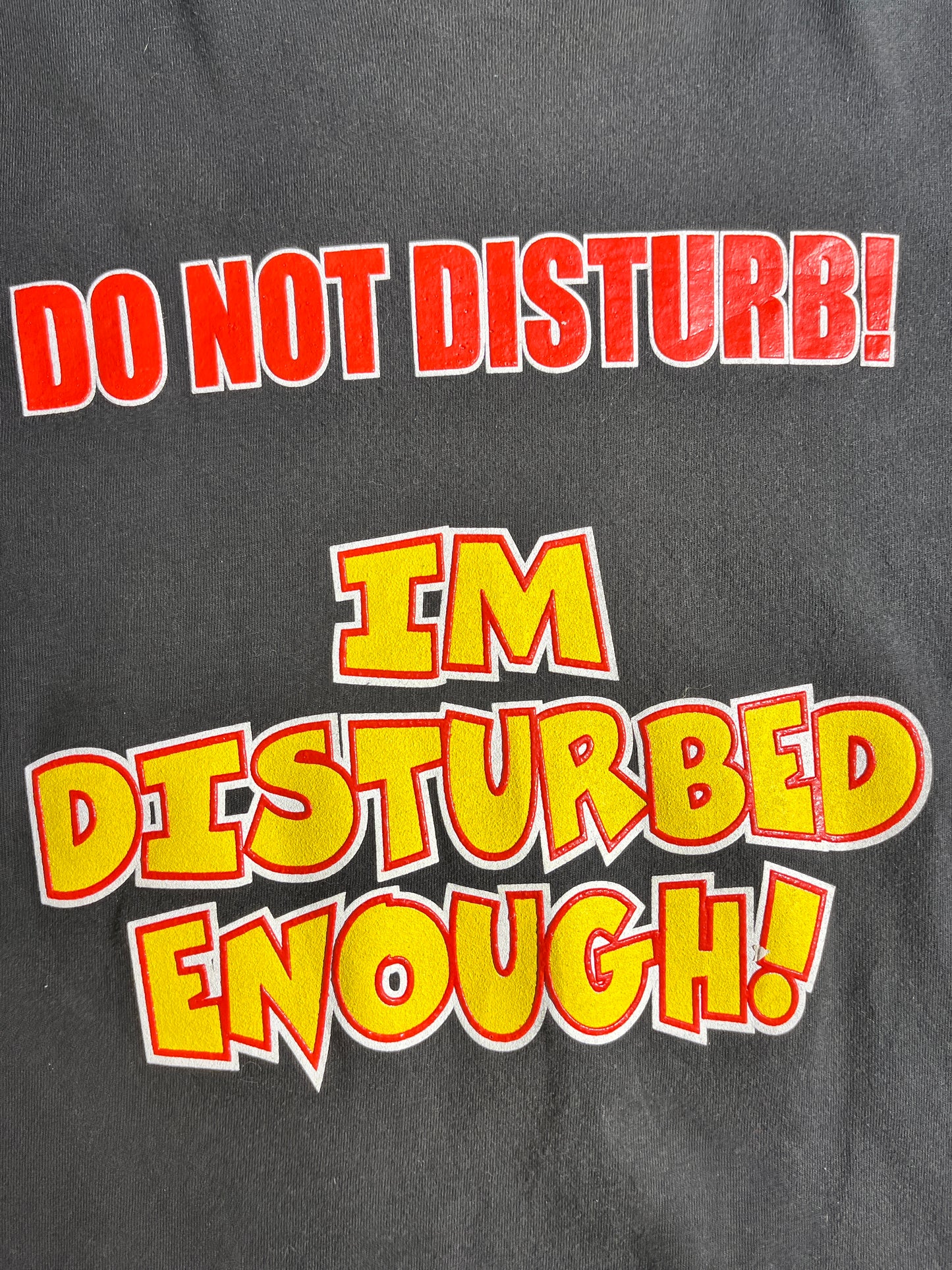 Vintage Do Not Disturb T-Shirt Slogan Lol