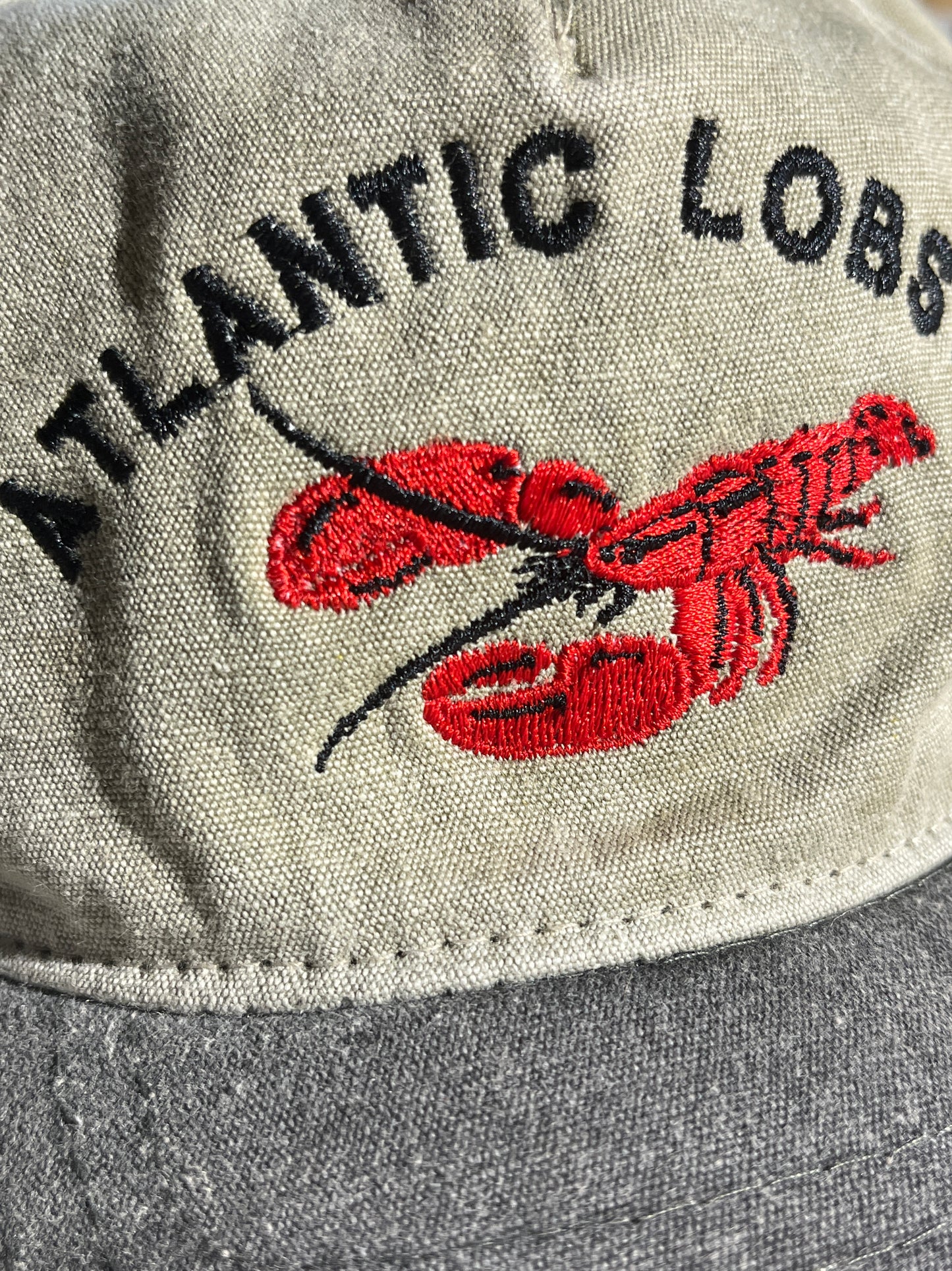 Vintage Lobster Hat Snapback