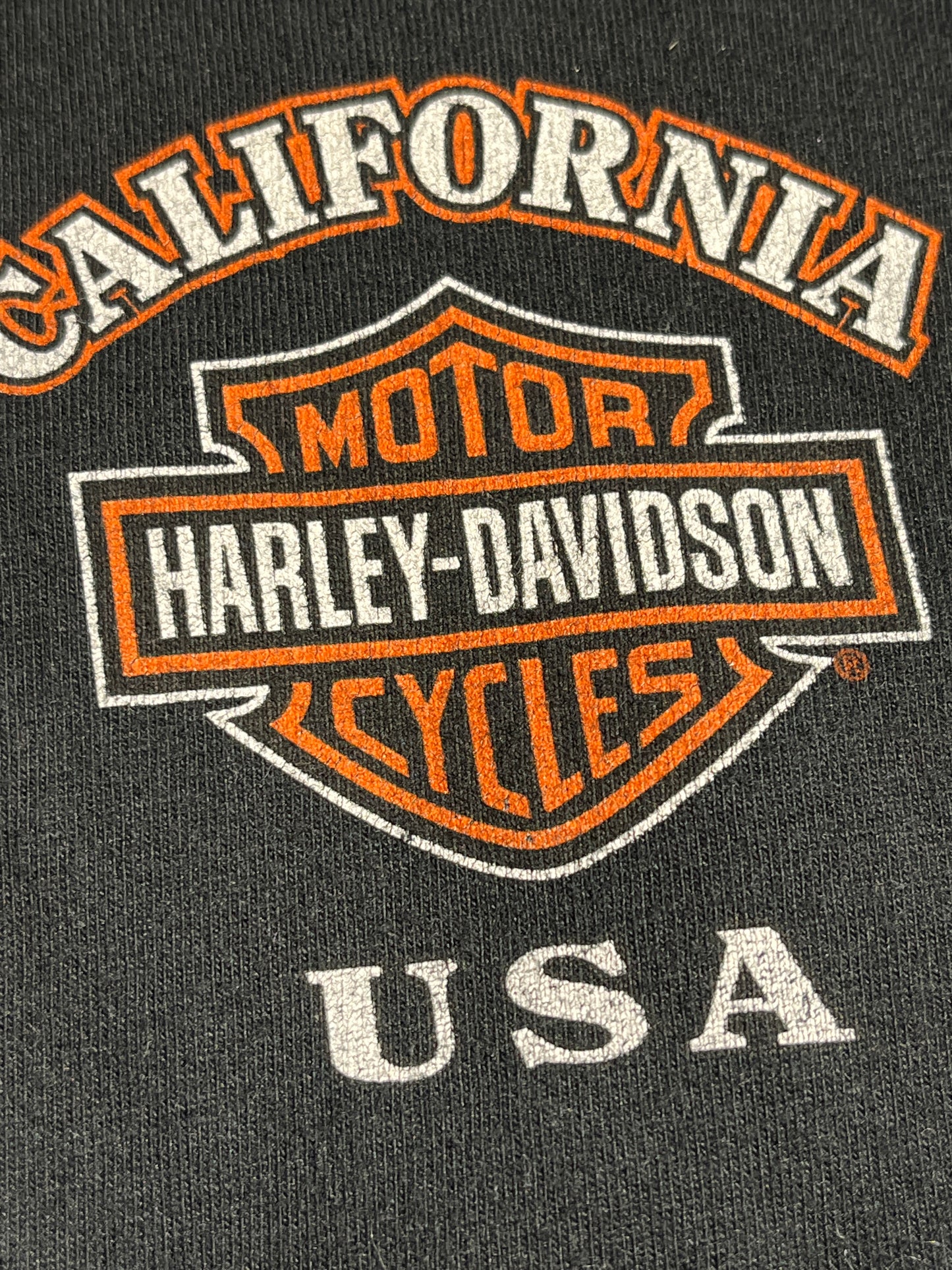 Vintage Harley Davidson Shirt Long-sleeve Palm Springs