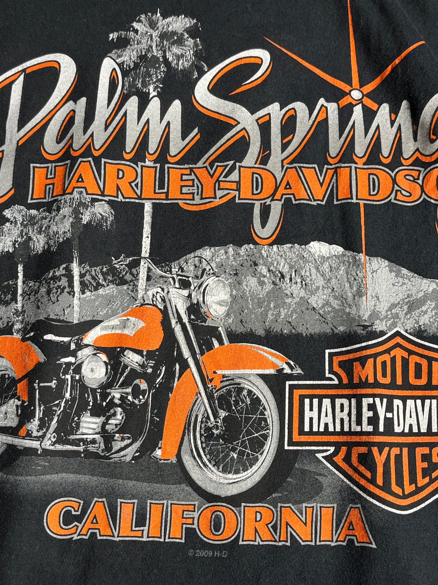 Vintage Harley Davidson Shirt Long-sleeve Palm Springs
