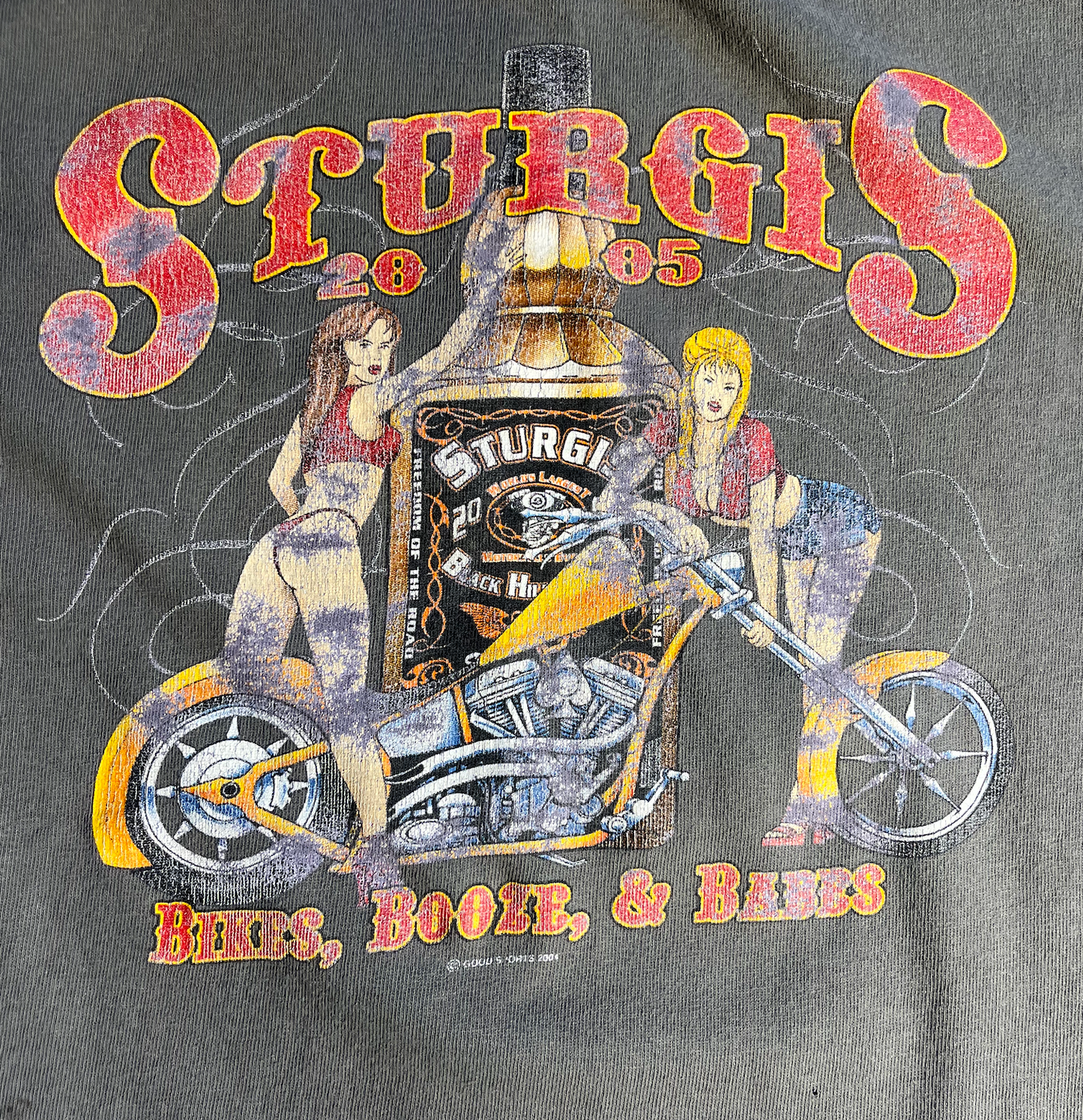 Vintage Sturgis Bikes T-Shirt