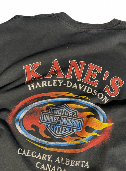 Vintage Harley-Davidson Shirt (Long Sleeve)