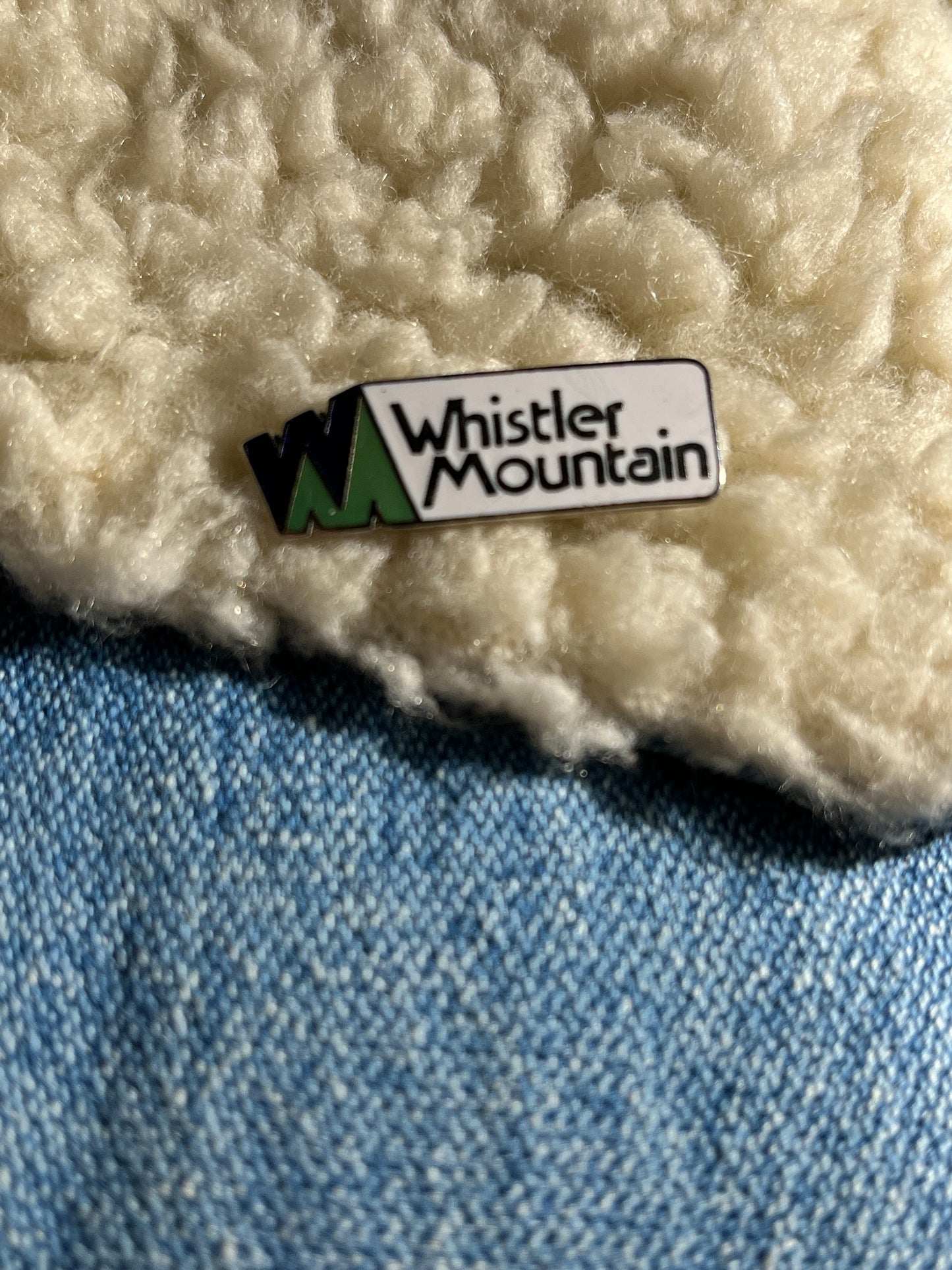 Vintage Whistler Pin Metal